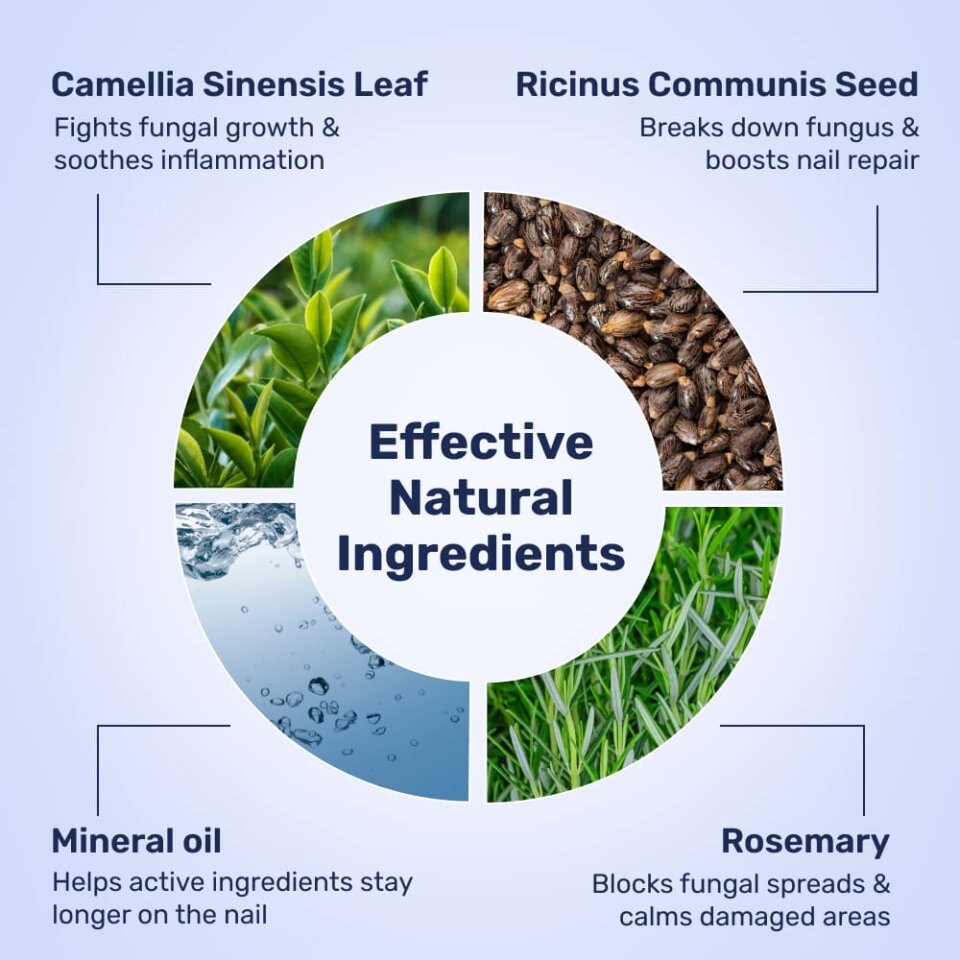 WellaNail ingredient panel showing Camellia Sinensis leaf, Ricinus Communis seed, rosemary and mineral oil